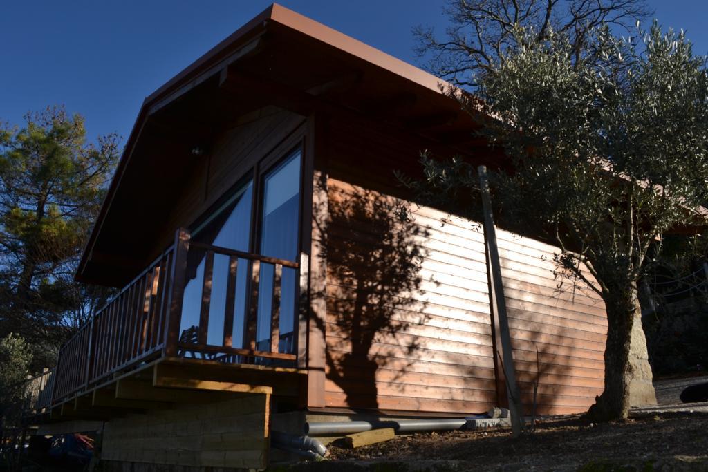 ホテル Casas Do Pastor セイア エクステリア 写真